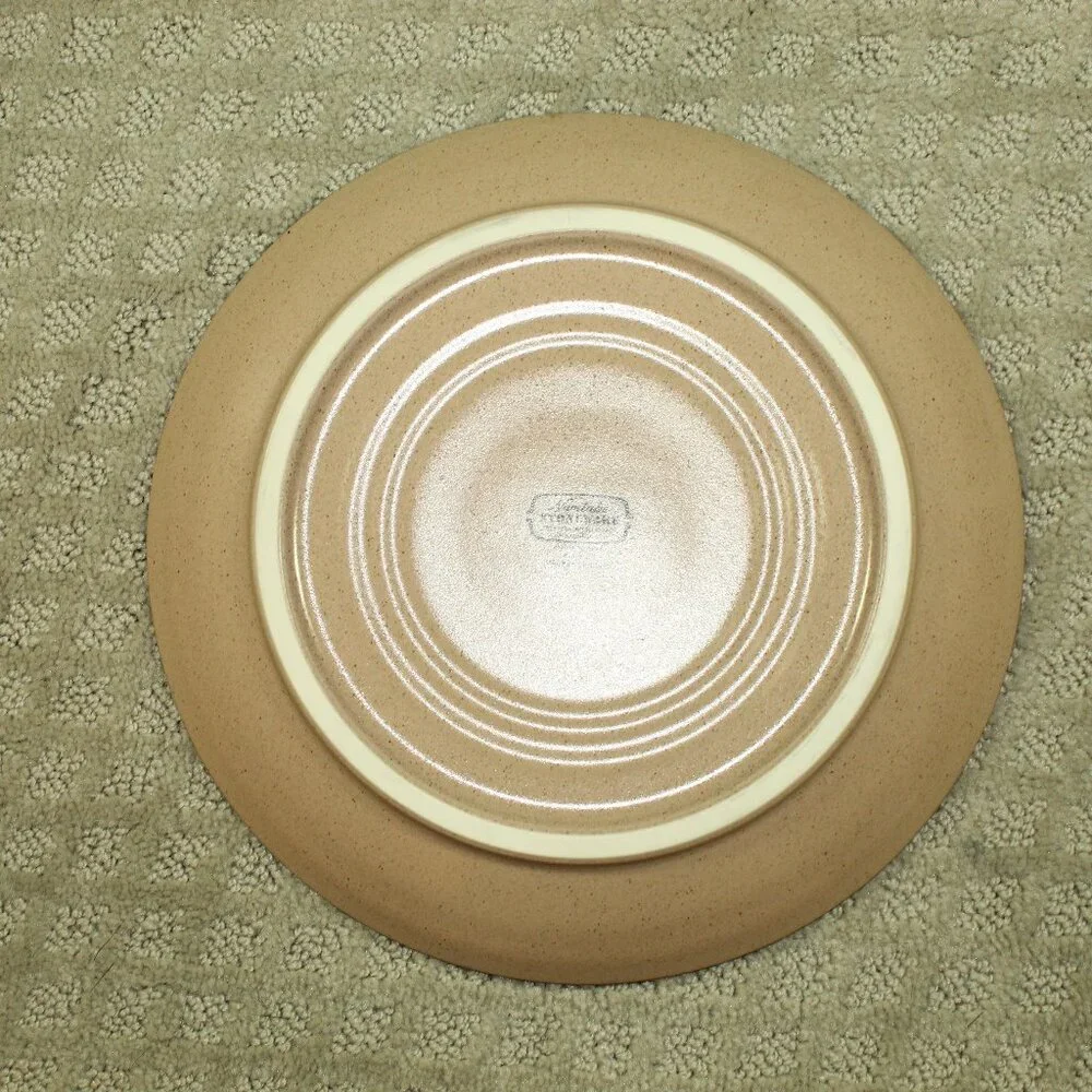 Noritake Stoneware 6476 Madera Spruce Aqua Brown Dinner Plate